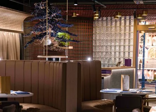 六本木レストラン4